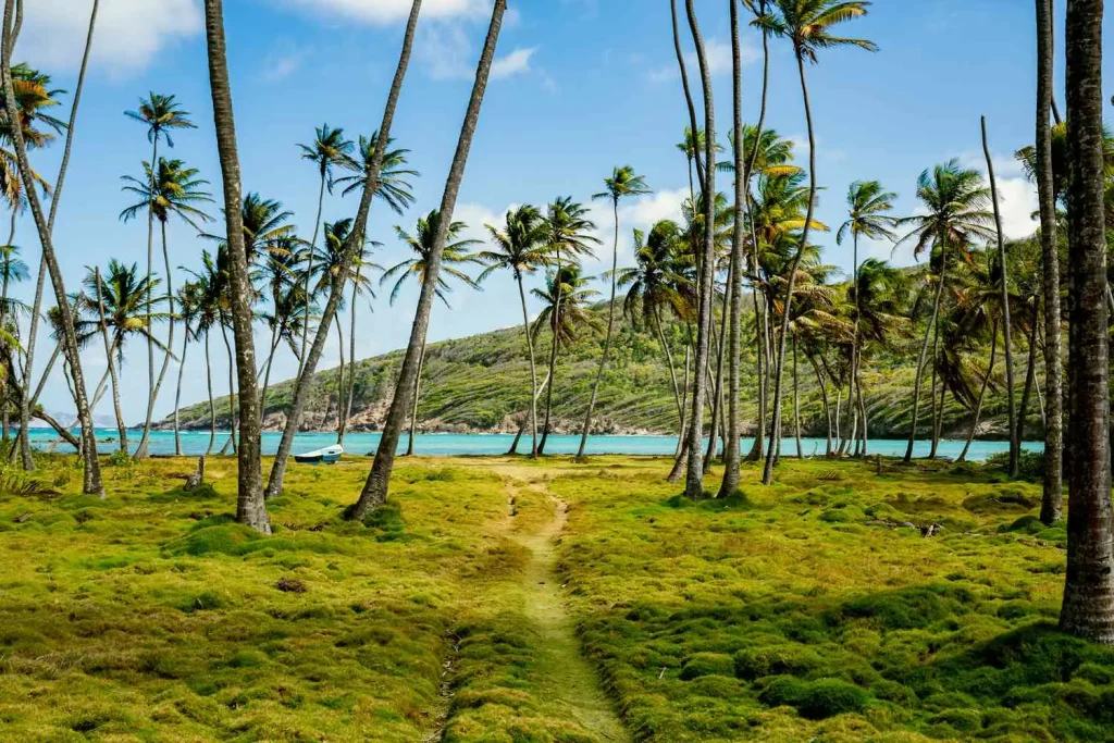 St. Vincent & The Grenadines Travel Guide