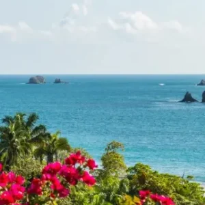 Costa Rica based experience and travel agency