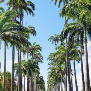 Travel Exploration Guidance