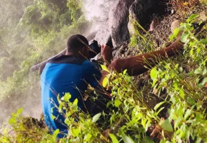 Photographer and videography studio in Roseau, Dominica