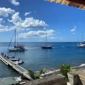 The Seacat Yacht Services in Dominica