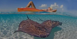 Adventure tour company in the Cayman Islands