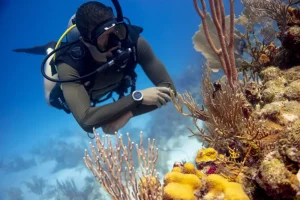 Antigua Scuba School