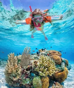 Cayman Luxury Charters