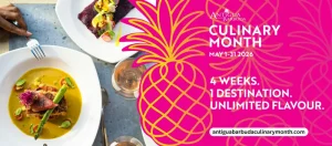 Marketing agency and content creator based in Antigua 1