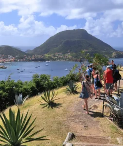 Tour and excursion operator in Guadeloupe