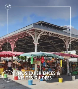 Tour and excursion operator in Guadeloupe