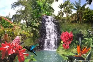 Tourism experience in Guadeloupe