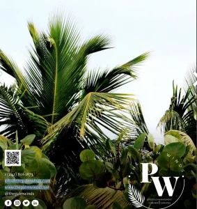 Lifestyle management and concierge company based in Nassau - Bahamas