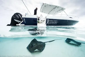 Yacht support and consulting company based in the Cayman Islands