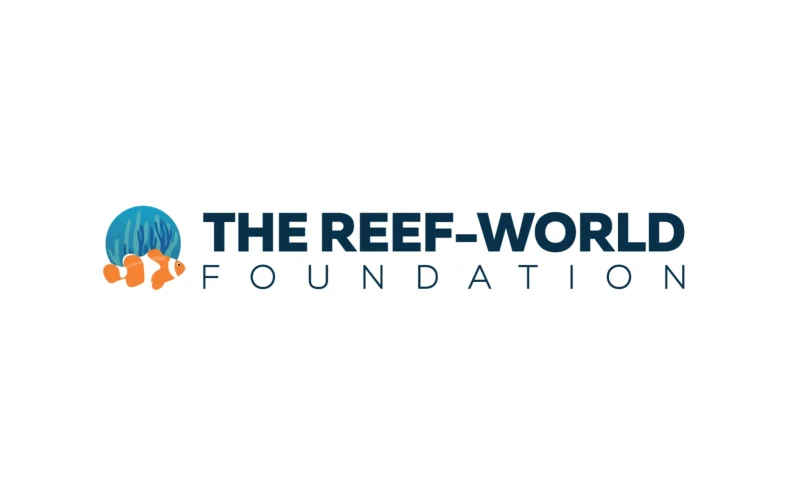 THE REEF WORLD FOUNDATION WHITE